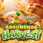 Groundhog Harvest รีวิว