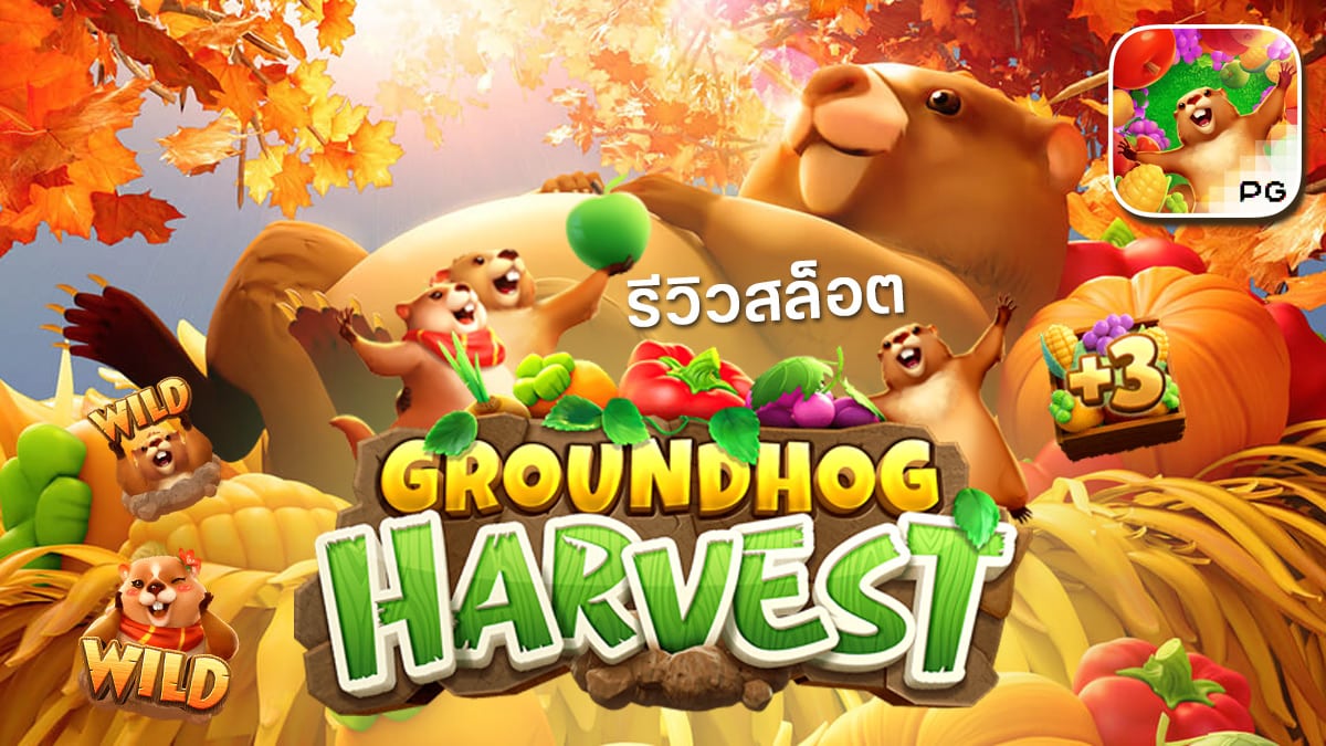 Groundhog Harvest รีวิว