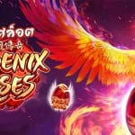 Phoenix Rises รีวิว