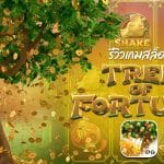 Tree of Fortune รีวิว