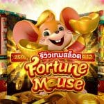 Fortune Mouse รีวิว