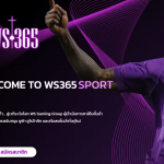 ws365 รีวิว
