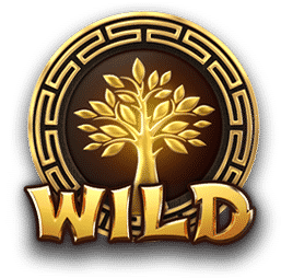 wild symbol